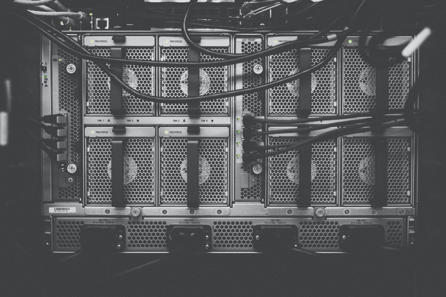 Data center server chassis with dense cabling, in black and white